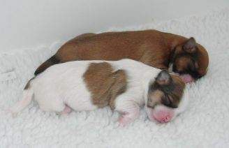 Zindy & Robin 